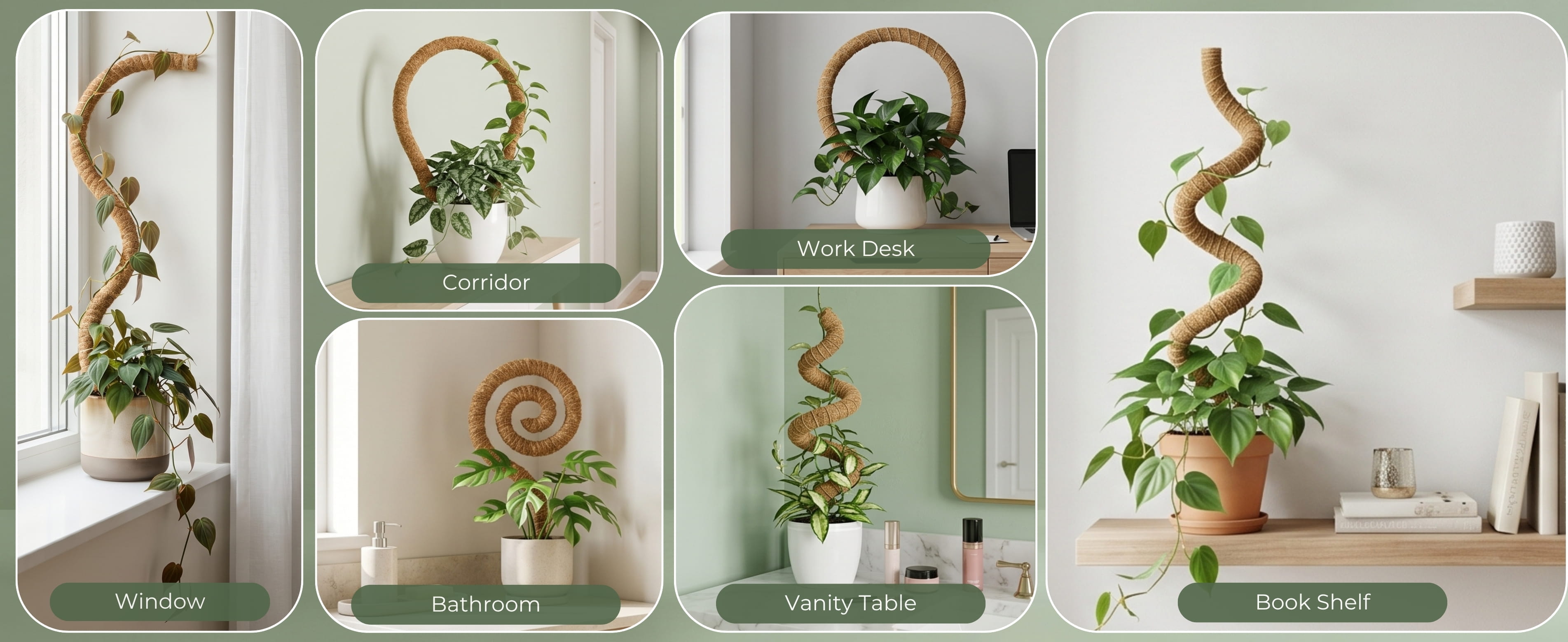 Bring Nature Indoors — BlushEase moss poles styled across beautiful indoor living spaces